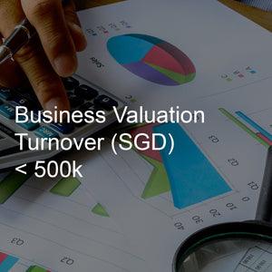 Business Valuation Service, Turnover <500K