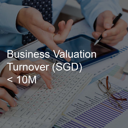 Business Valuation Service, Turnover <10M