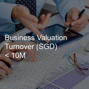 Business Valuation Service, Turnover <10M