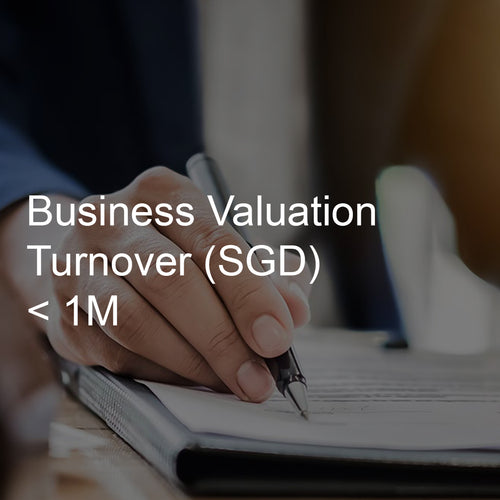 Business Valuation Service, Turnover <1M