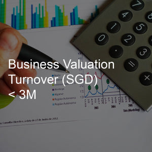 Business Valuation Service, Turnover <3M