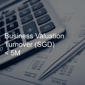 Business Valuation Service, Turnover <5M