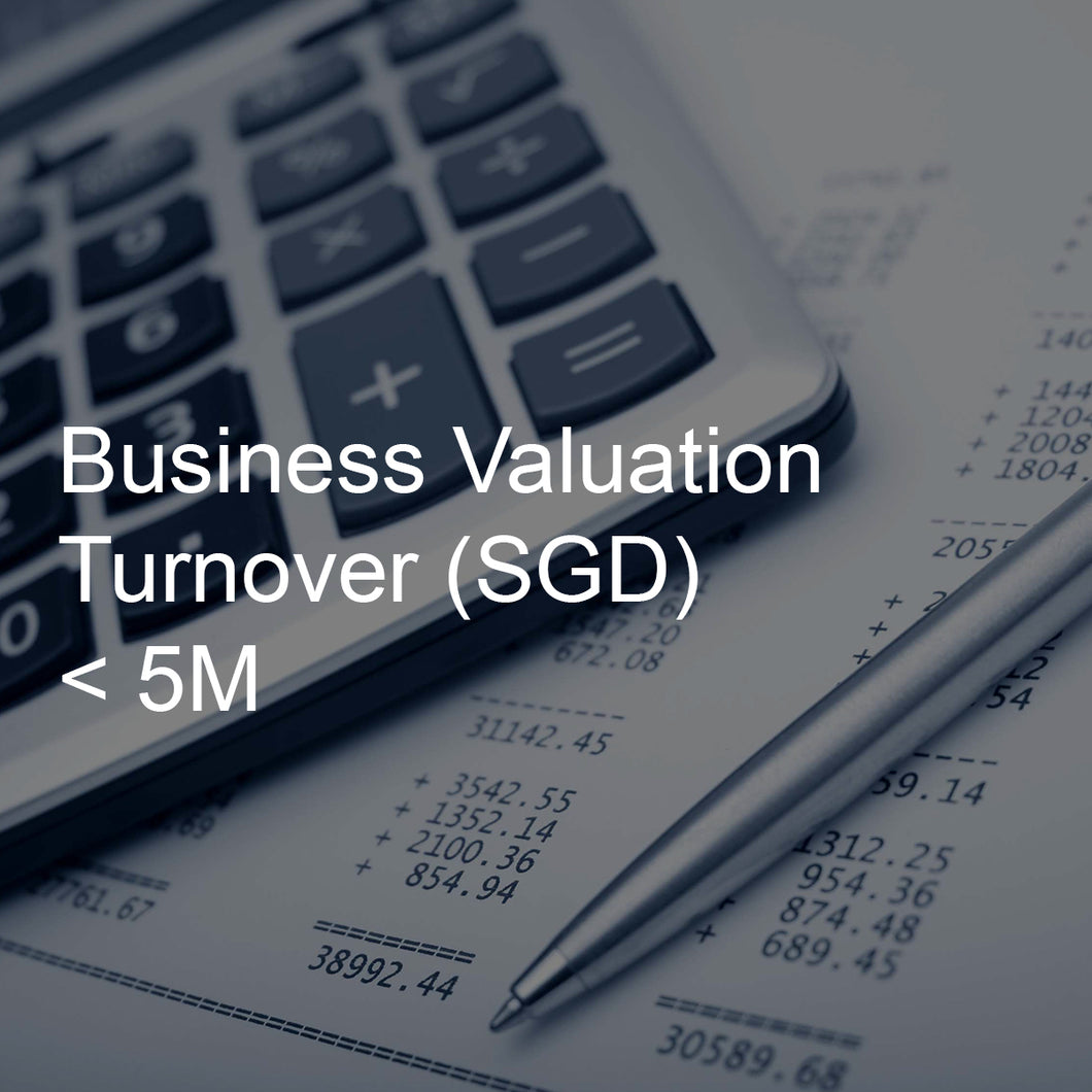 Business Valuation Service, Turnover <5M